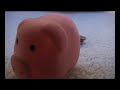 Money Hungry Pigs