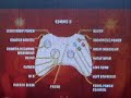 Sharp Viewcam VL-E40 video-input (Xbox360 Fight Night Rd. 3) Sharp Viewcam VL-E40 video-input (Xbox360 Fight Night Rd. 3)