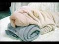 Humor Videos - Hotbad position - YaTaK pozisyonları