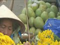 Vietnam-Vietnam en Espanol:Viaje Vietnam Travel Video PostCa