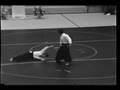 videos de Nobuyoshi Tamura Shihan w/ uke Peter Bernath Shihan