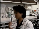 Dental Hygienist Dental Hygienist