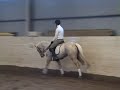 Loopers Lady markarbete 080305