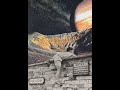 videos de Leaving Las Vegas the hardway by swami's Motel Band.wmv