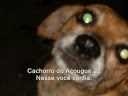 Assistir ao v�deo