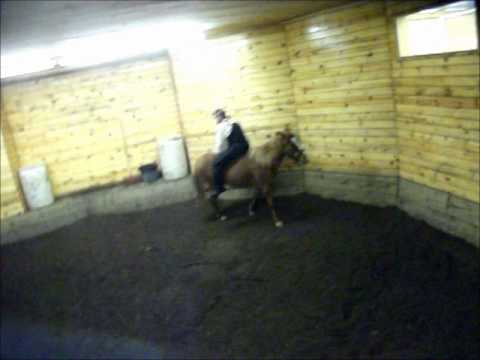 wooden pony torture