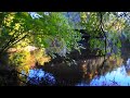 Glen Onoko - By the river Glen Onoko - By the river