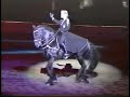 Friesian Hollywood Horse Friesian Hollywood Horse