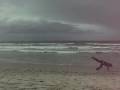 Solana Beach Live Solana Beach Live