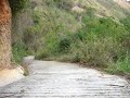 Terreno Colinas de La Lagunita