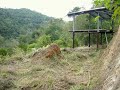 Terreno Colinas de La Lagunita