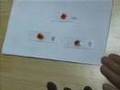 This miracles is Jesus`s blessing for Naju piligrims.