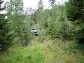 videos de sub making road in forrest