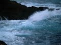 divina naturaleza