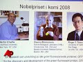 Nobel Chemistry Prize Goes for Jellyfish Protein