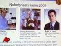 Nobel Chemistry Prize Goes for Jellyfish Protein