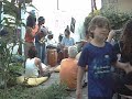 Feijoada Vegan , Samba & Anarkia Feijoada Vegan , Samba & Anarkia