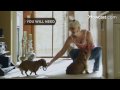 How To Watch Your Neighbor's Dog