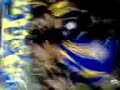 libresylokos dale tigres libresylokos dale tigres