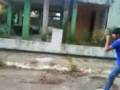 videos de chuleta contra mosca