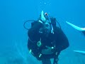 buceo cayo largo punta barracuda