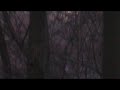 Falkenbach - ...the ardent awaited land