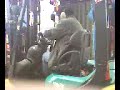 chato en pega de acensores.mp4