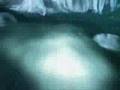 FF7 advent children amv nan quan mama