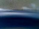 ralli