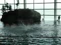 SHEDD Dolphin show (Chicago) SHEDD Dolphin show (Chicago)
