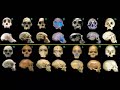 Myers vs Simmons ToE Debate (5-5) Myers vs Simmons ToE Debate (5-5)