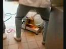 Les cuisiniers part 2