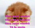 otro amor vendra*** lorena gomez***