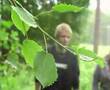 Emilia - Första trailern