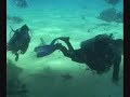 Buceo en Sharm El Sheik (EGIPTO) Parte 1