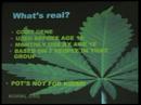 2007 NORML Conference - Mitch Earleywine, Ph.D 2007 NORML Conference - Mitch Earleywine, Ph.D