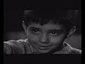 miracle of marcelino 1955