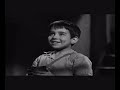 miracle of marcelino 1955