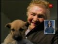 jornada de adopción perros chaitén   24 horas tvn