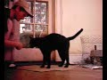 Boris Shakes Hands Boris Shakes Hands