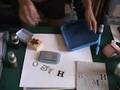 vlog: Doodlebug Crushed Velvet Flock