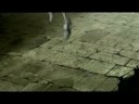 [AMV] Whispers...