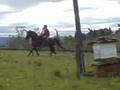 videos de O domador de cavalos!!!