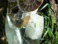 St.Clair Star Resonators - Rose Quartz Crystal