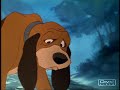 You Are Not Alone - \"The fox & the hound\" You Are Not Alone - \"The fox & the hound\"