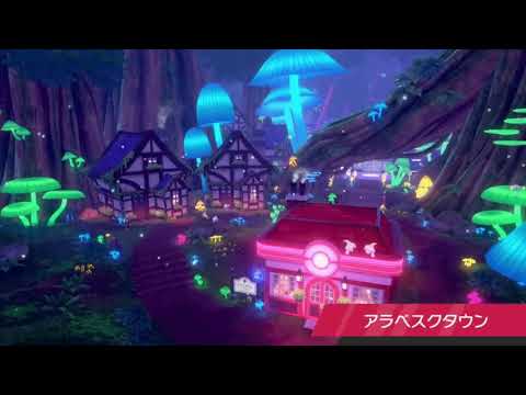 動画