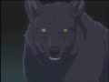 Remember The Name- Kiba Tribute Remember The Name- Kiba Tribute