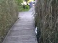 Parc �cologique de nanterre (92)