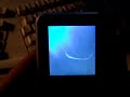 mp4 player
