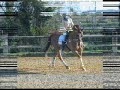Halte, mon cheval Halte, mon cheval